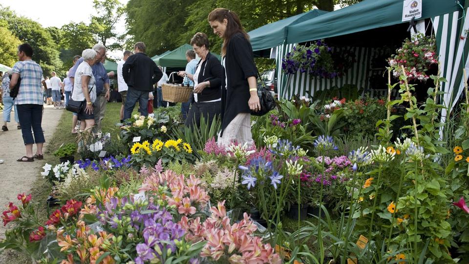 1. og 2. juni er der atter Blomsterfestival i Frederikshavn. Arkivfoto: Carl Th. Poulsen <i>Carl Th. Poulsen</i>