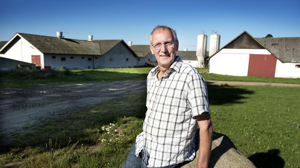 Landmand Aage Haarup, Oplev i Himmerland håber at komme i gang med at bygge ny svinestald snart. Foto: Lars Pauli <i>Lars Pauli</i>