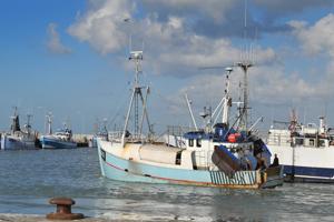 Dagbåde holder gang i fiskemelsfabrik