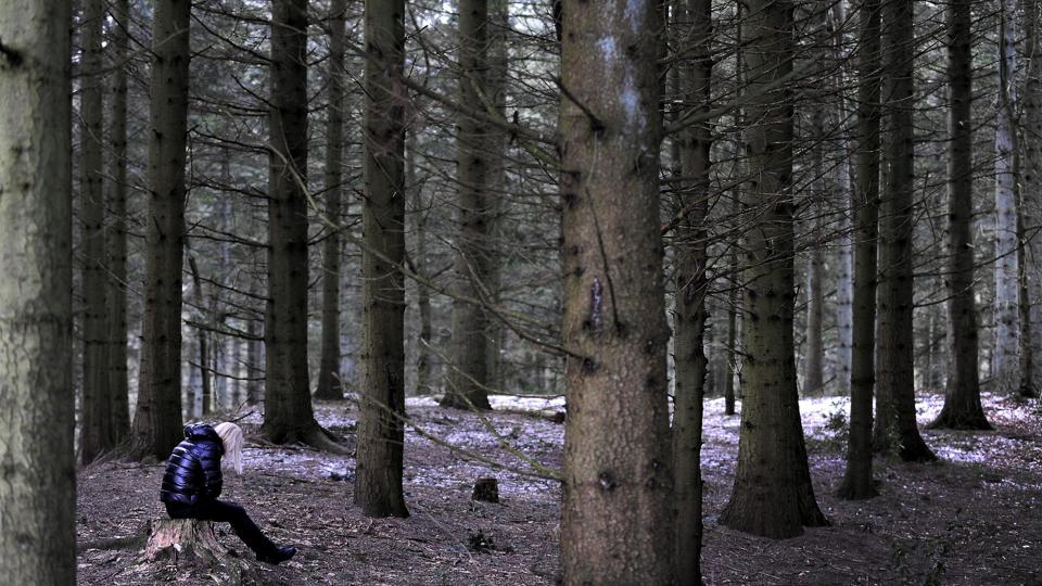 90 unge har i løbet af det første år taget imod Hjørring Kommunes tilbud om gratis psykologsamtaler. Hver fjerde er henvist til yderligere behandling. Modelfoto: Bent Bach <i>Bent Bach</i>