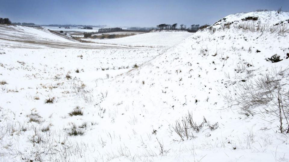 Asdal Voldsted. Foto: Hans Ravn <i>Hans Ravn</i>