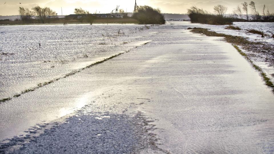 Limfjordens vande kan med en ny metode slippe for tungmetaller. Arkivfoto