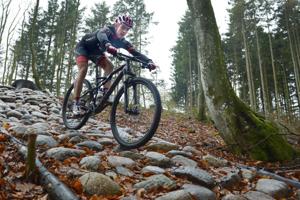 Klager fik medhold: Nu er det slut med at cykle i mountainbike-spor i fredet område