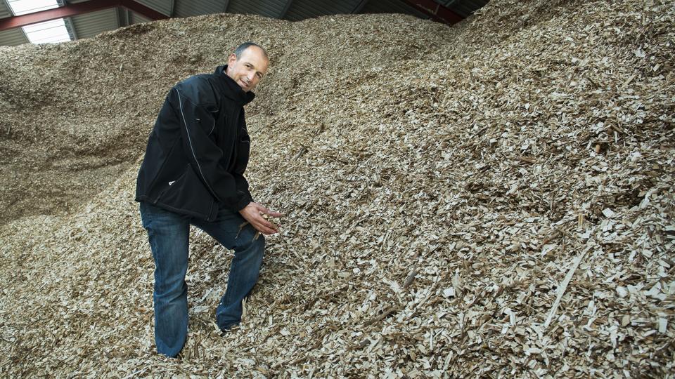 Lokal energi: Johannes Falk, Villerup Hovedgaard, er overbevist om, at tørret flis af pil og poppel kan blive en både miljømæssig og økonomisk attraktiv afgrøde. Foto: Thomas Hansen <i>Foto: Thomas Hansen</i>