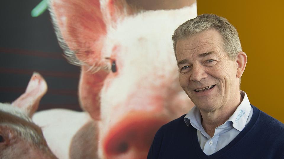 Poul Stendahl - stopper efter 38 år inden for svinerådgivningen. Foto: Kurt Bering <i>Kurt Bering</i>