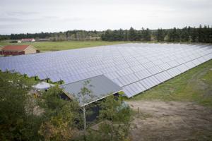 Se kortet: Privat solcellepark på tegnebrættet i Jammerbugt