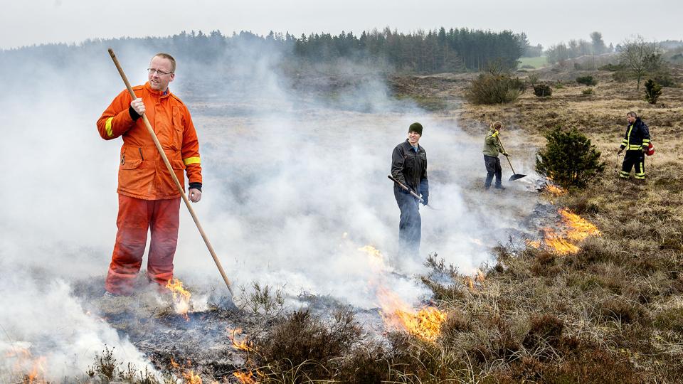 Galleri - Tryk og se alle billederne.