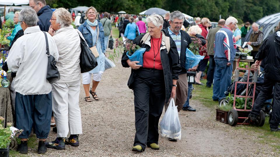 Morsø Havekreds har gennem flere år været med til at arrangere det velbesøgte plantemarked i Vildsund. På torsdag den 3. april har kredsen arrangeret besøg på Jebjerg Planteskole. Arkivfoto.