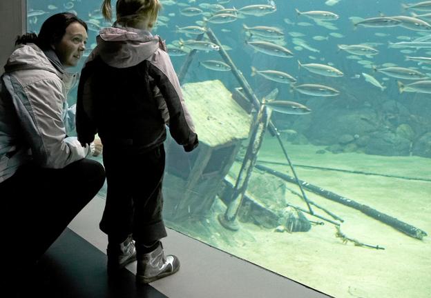 Oceanariet til Nordens bedste akvarium | Nordjyske.dk