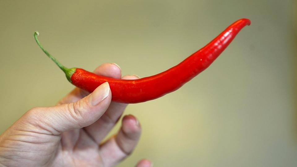 Importeret rød chili er blandt de giftrige grøntsager. Arkivfoto <i>Pressefotograf Michael Bygballe</i>