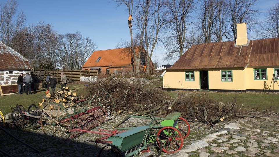Galleri - Tryk og se alle billederne.