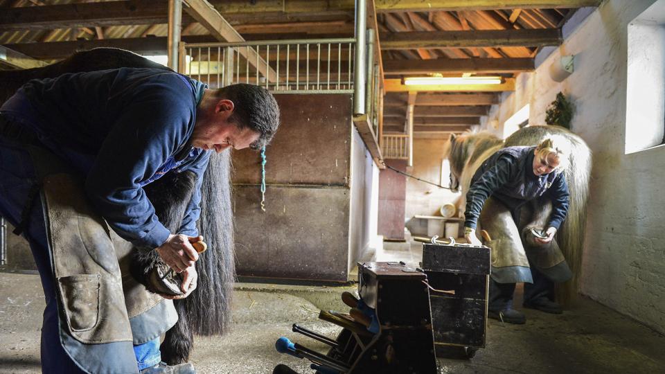Rikke Knakkergaard og Carsten Bertelsen deler gerne hestene mellem sig - og så er hun som mester klar til at rådgive sin lærling. 	Foto: Michael Koch