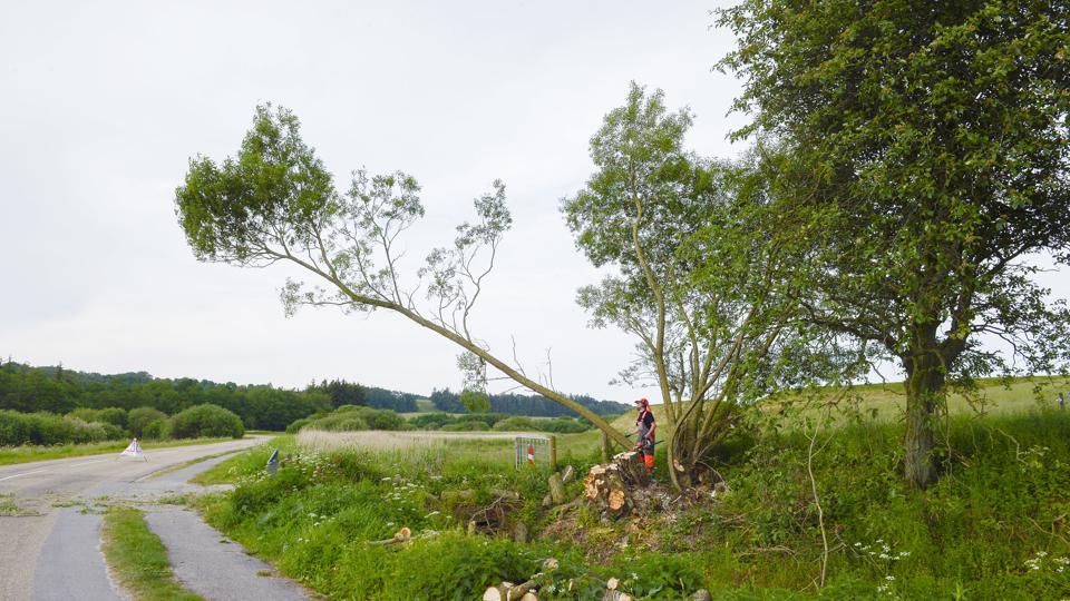 Galleri - Tryk og se alle billederne.