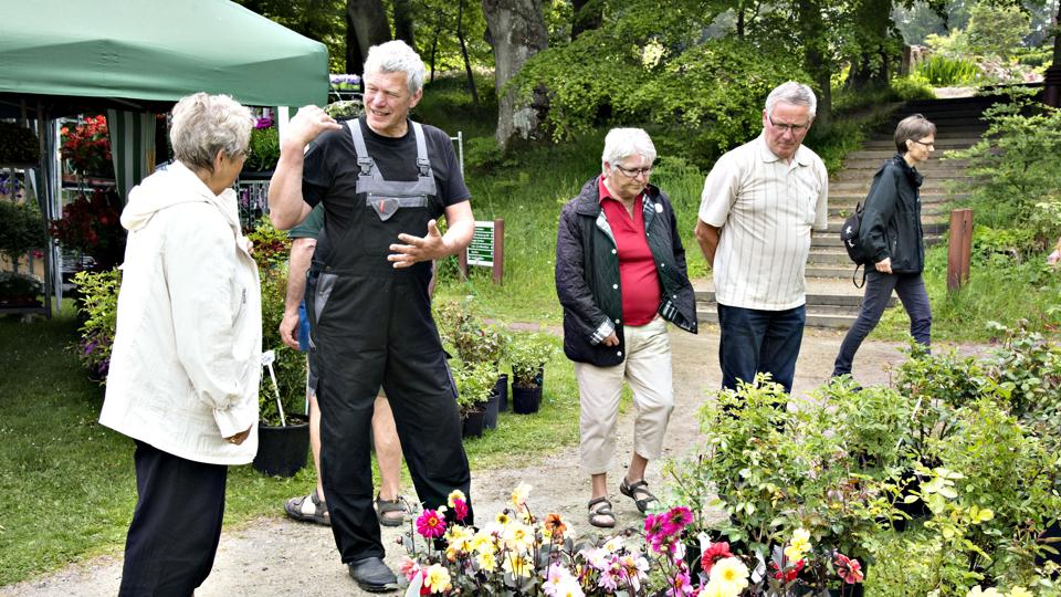 Galleri - Tryk og se alle billederne.