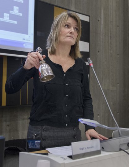 - Ikke hensigten at tage luften ud af andre udvalg, siger Birgit Hansen.