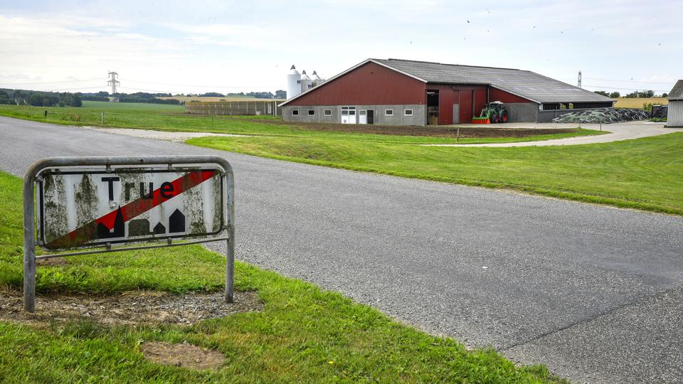 En sag om udvidelse af en kvægbedrift i landsbyen True bliver nu en sag for byrådet. Arkivfoto: Michael Koch