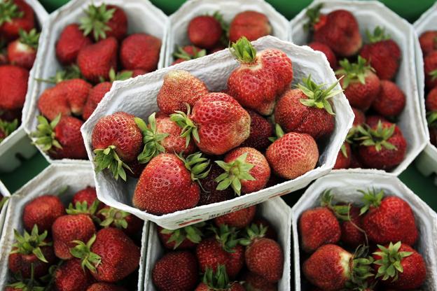 Kalenderen siger jordbærsæson, så det er lige nu, de smager aller bedst. Arkivfoto: Henrik Bo <i>Pressefotograf Henrik Bo</i>