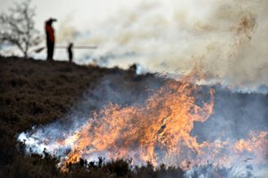 Militærøvelse løb løbsk: Aalborg-soldater satte ild til nationalpark