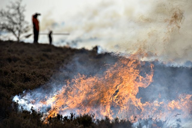 Brandfolk fra Hurup har natten til onsdag kæmpet med en naturbrand i Nationalpark Thy. Arkivfoto