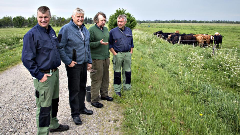 De ansatte i Store Vildmose og lokale landmænd gik til kamp for at bevare Store Vildmose. Arkivfoto: Kurt Bering