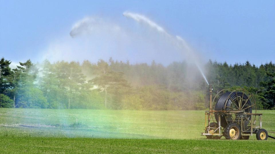 Selv om det nu har regnet, bliver der vandet marker også i Rebild i øjeblikket. På Center Natur- og Miljø sidder man også og arbejder med sager om markvanding, men det har helt andre årsager.Arkivfoto