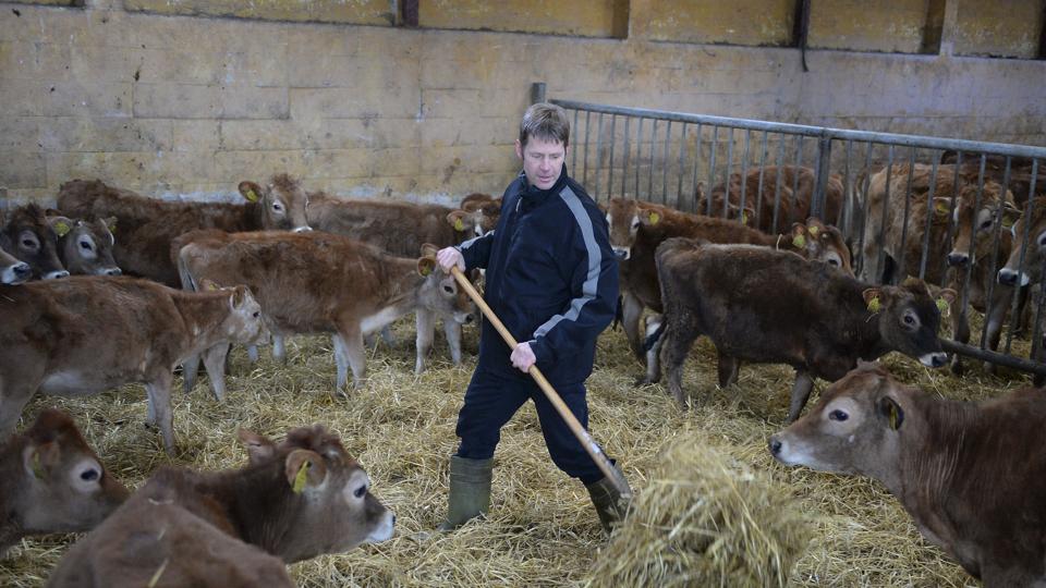 Sten Dissing: Jo, man skal op hver morgen klokken fem, men der også stor frihed i landmandstilværelsen. Foto: Michael Bygballe <i>Michael Bygballe</i>