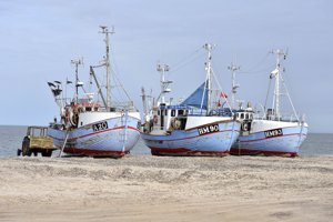 Kystfiskere kendt fra tv ramt af to-cifret milliontab
