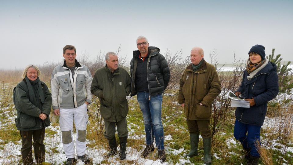 Forleden mødtes folk fra både Naturstyrelsen og Sydthy Golfklub på de forblæste marker vest for Hurup, hvor der snart skal plantes træer. Fra venstre er det skovrider Ditte Svendsen, Ricky Larsen, formand for Sydthy Golfbaneanlæg, Per Kynde, arealansvarlig i Sydthy for Naturstyrelsen, Henrik Dam Jespersen, formand for Sydthy Golfklub, klitplantør Thorkild Sørensen og Anna-Klara Kjeldgaard, studerende hos Naturstyrelsen. Foto: Peter Mørk <i>Foto: Peter Mørk</i>