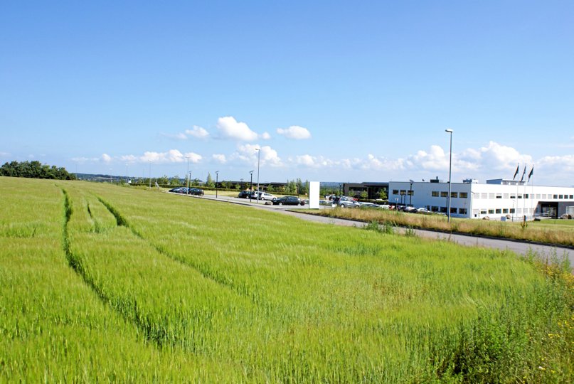20 hektar er udlagt til erhvervsområde i Flødalen syd for Svenstrup, men endnu er det ikke lykkedes at sælge en bid af joden, som derfor har været forpagtet ud til landbrugsdrift. Foto: Aalborg Kommune