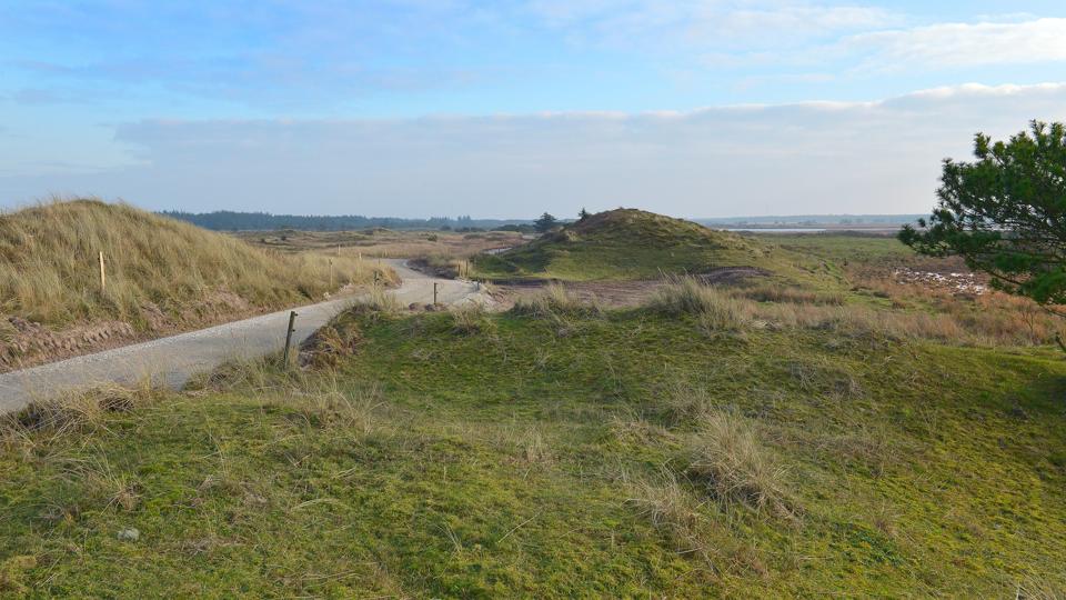 Området nord for Vullum Sø, som her ses til højre i billedet, er et af de områder, hvor Naturstyrelsen Thy skal have indgået en ny aftale med en forpagter om afgræsning. <i>Arkivfoto: Ole Iversen</i>