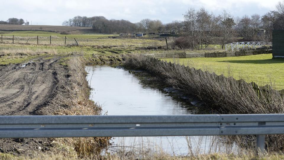 Opstrøms dambruget ved Volstrup er politikerne i økonomiudvalget enige om at øge grødeskæringen. Længere nordpå eller opstrøms åen er man vildt uenige om et genopretningsprojekt.
Foto: Michael Bygballe <i>Michael Bygballe</i>