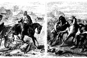 Hesterøvere og røven af 4. division