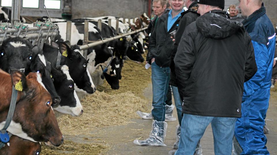 40 kvægavlere fra Mors, Thy og Han Herred deltog i går i avlsforeningens årsmøde. Det blev indledt med besætningsbesøg hos Mie og Arne Kristensen i Elsø. Foto: privat