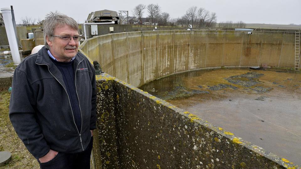 Bent Urup glæder sig over udsigten til, at der snart igen kommer liv i tankene hos Maximus i Gudnæsstrand. Herfra skal der produceres yngel til det kommende anlæg i Hanstholm. Foto: Peter Mørk <i>Foto: Peter Mørk</i>