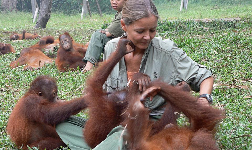 Lone Dröscher Nielsen fra Aabybro er et eksempel på en ildsjæl af en helt særlig karat. Hun har viet sit liv til t komme den vigende bestand af Borneo-orangutanger til gode. Hun er inviteret til at fortælle om sin livsgerning, når Den NORDJYSKE Initiativpris overrækkes 10. marts. Arkivfoto