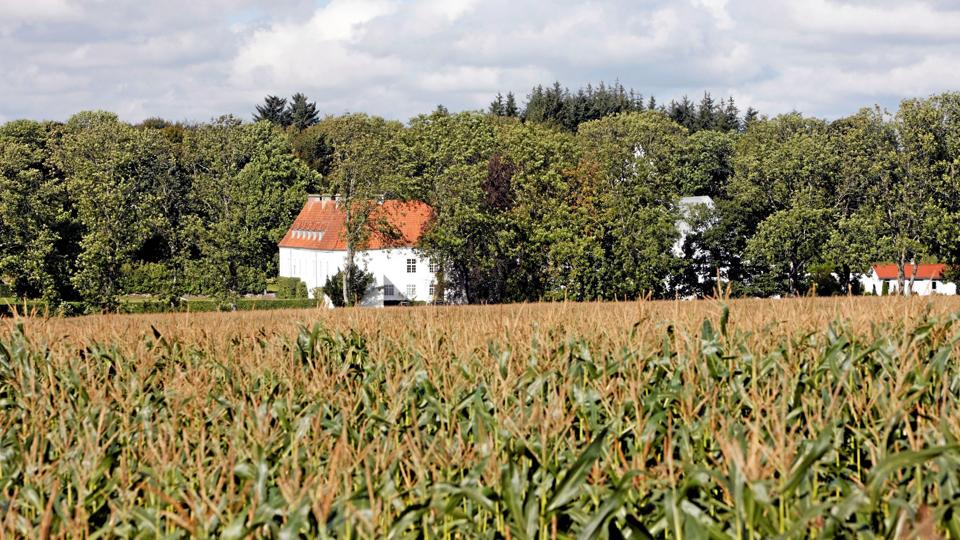 Jammerbugt Kommune byder på meget skøn natur. Her er det marker på Øland. Privatfoto