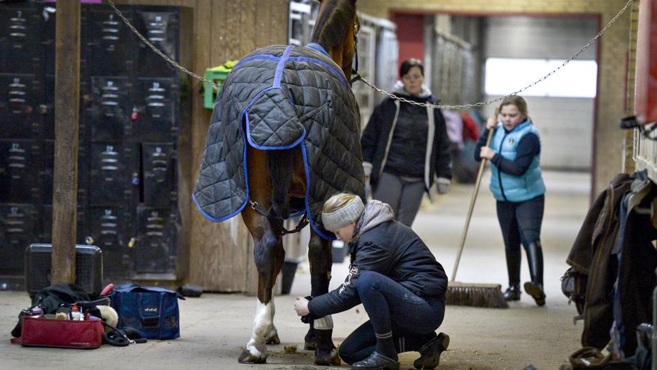 Hjørring Kommune vil sælge Hjørring Ridecenter. Foto: Bente Poder