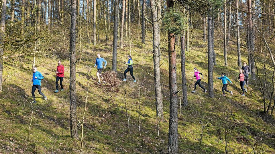 Galleri - Tryk og se alle billederne.
