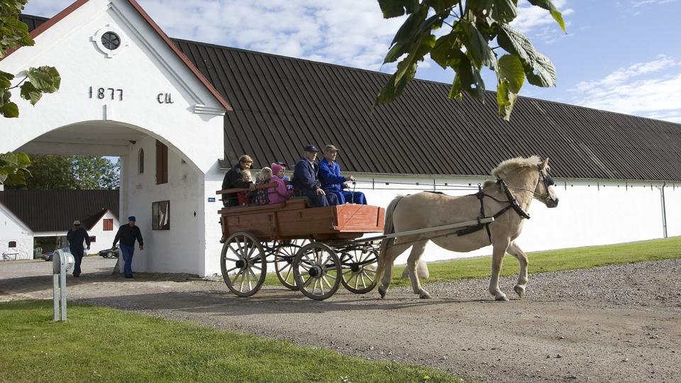 Unge fester på Knivholt, og det endte lørdag nat med politianmeldelse. <i>Pressefotograf Peter Broen</i>