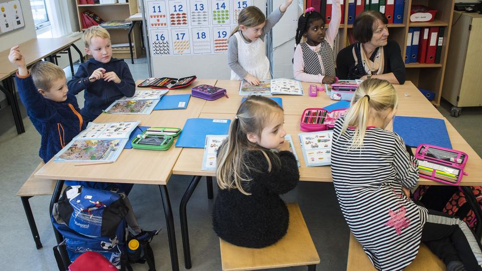 Hedeboskolen startede med "aldersblandet undervisning" i 2009, og Skagen Skole har videreført det.