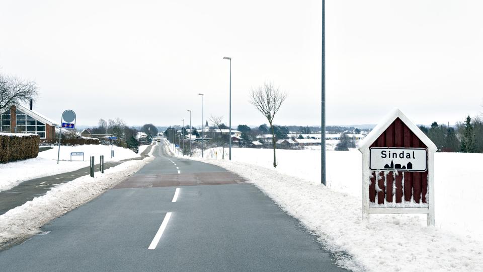 Slotved Skov skal være mere bynær, så der skal plantes nye træer ved Danmarksgade.Foto: Kim Dahl Hansen <i>Foto: Kim Dahl Hansen</i>