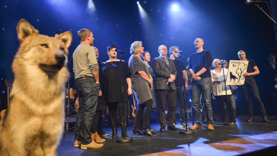 Elmelunds kor havde en udstoppet ulv med på scenen. Foto: Claus Søndberg