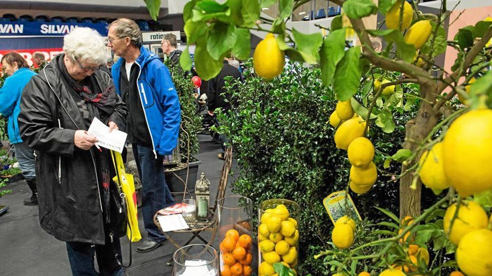 70 udstillere har købt stand til årets forårsmesse i Arena Nord den 7.-8. marts.