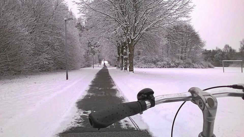 Natten til mandag faldt der sne over Aalborg, og hele ugen ser hvid ud.