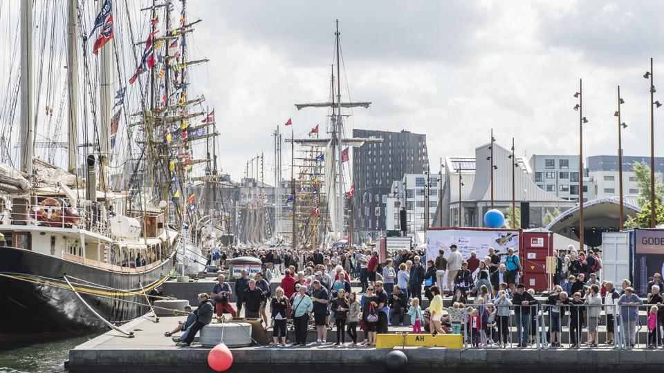 The Tall Ships Races 2015 i Aalborg fyldte ikke kun havnekajen, men også busserne. Foto: Laura Thomsen <i>Foto: Laura Thomsen</i>