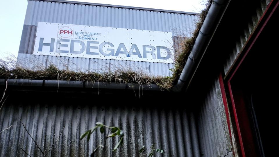 Politikerne ser forskelligt på opgaven om nedrivning af Hedegaard-bygningerne. Arkivfoto: Michael Koch <i>Michael Koch</i>
