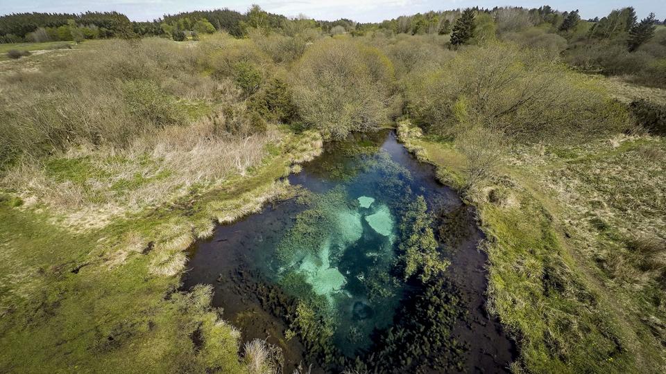 Store Blåkilde er en typisk bassinkilde, beliggende i Mariagerfjord Kommune ved Rold Skov syd-sydvest for Madum Sø. Fra P-pladsen ved landevejen går en sti ca. 1 km gennem et sumpet eng område til selve kilden. Kilden er fredet. Video kommer. Foto: Henrik Bo <i>Foto: Henrik Bo</i>
