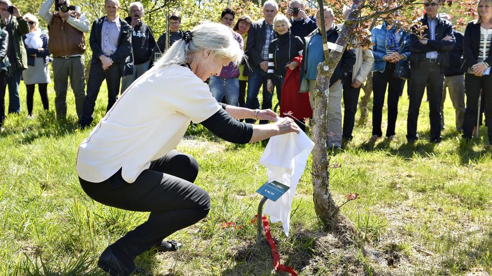Galleri - Tryk og se alle billederne.
