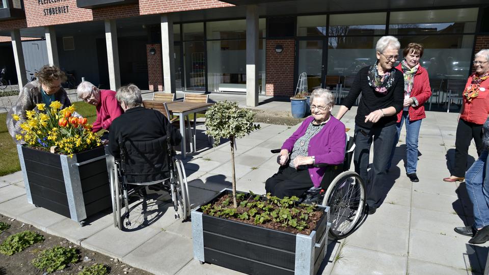 Plantekasserne ved Støberiet giver glæde blandt beboerne.Foto: Kurt Bering <i>Kurt Bering</i>