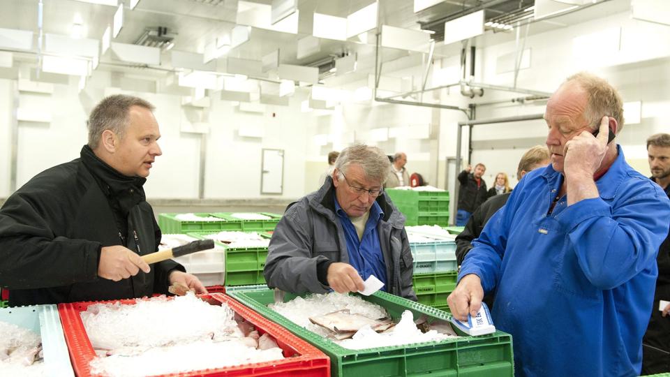 I fremtiden kan auktionsmester Karsten Brovn Pedersen (tv) slå hammerslag for salg af MSC mærkede rødspætter fra Skagerak. Arkivfoto: Henrik Louis <i>Henrik Louis</i>